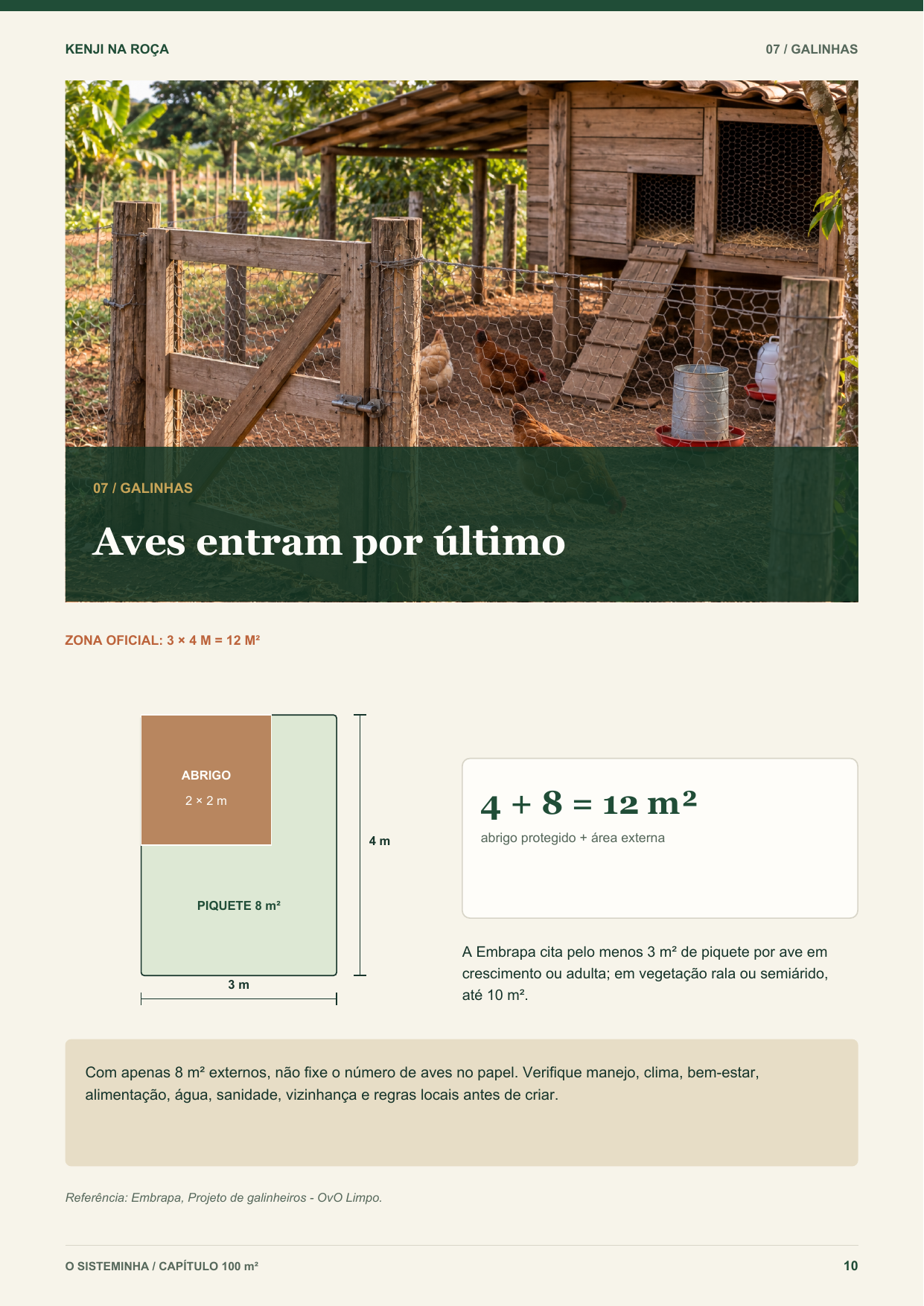Página real: criação de galinhas